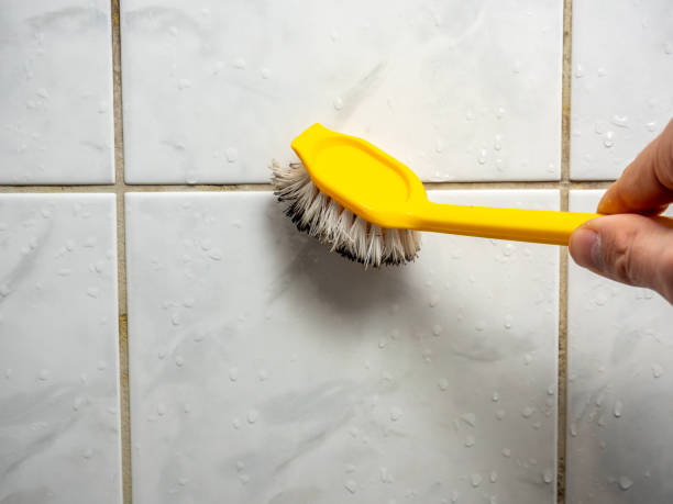 Best Insurance-Related Mold Remediation in Stow, OH