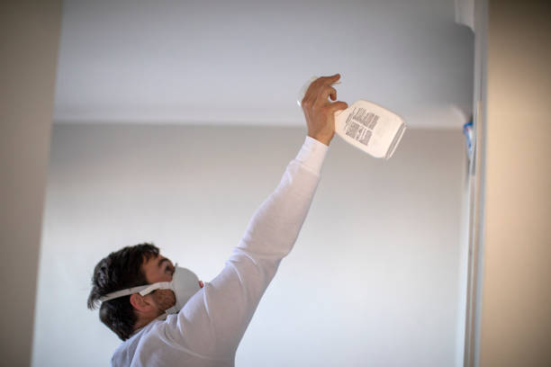 Best Black Mold Remediation in Stow, OH